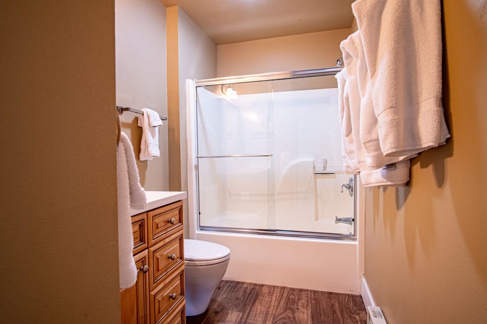 Shared Downstairs Bathroom