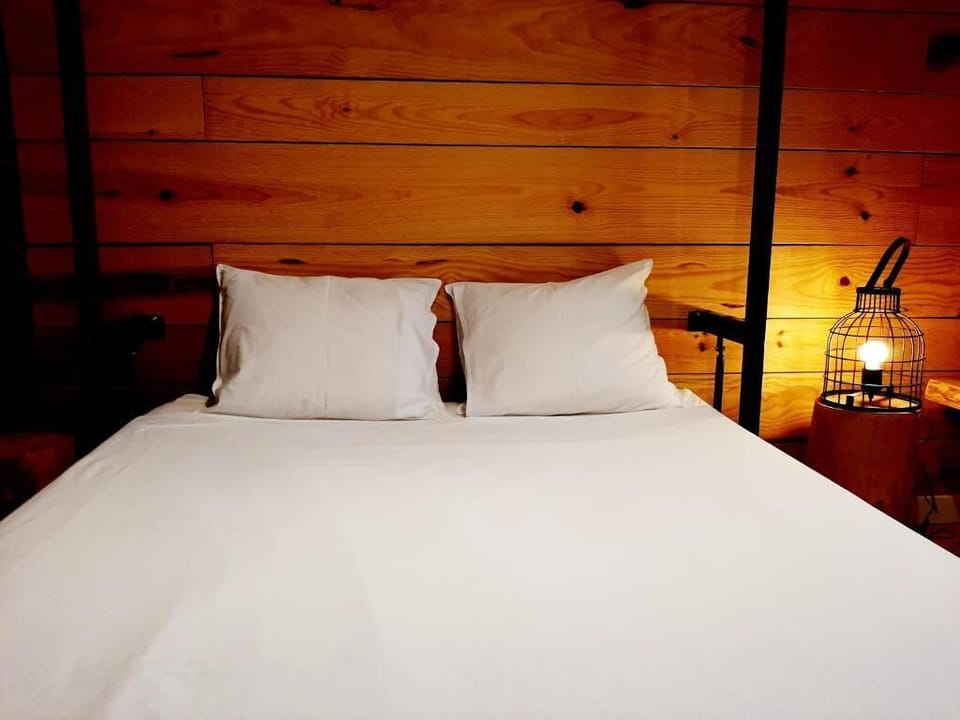 Hypo-allergenic bedding, down comforters, soundproofing, free WiFi