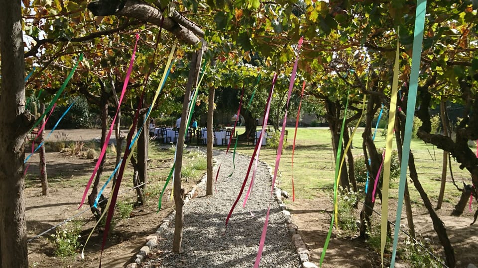 Outdoor wedding area