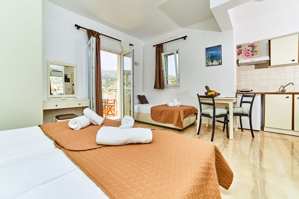 Triple Room, Mountain View | Private kitchen | Mini-fridge, stovetop, electric kettle, toaster oven