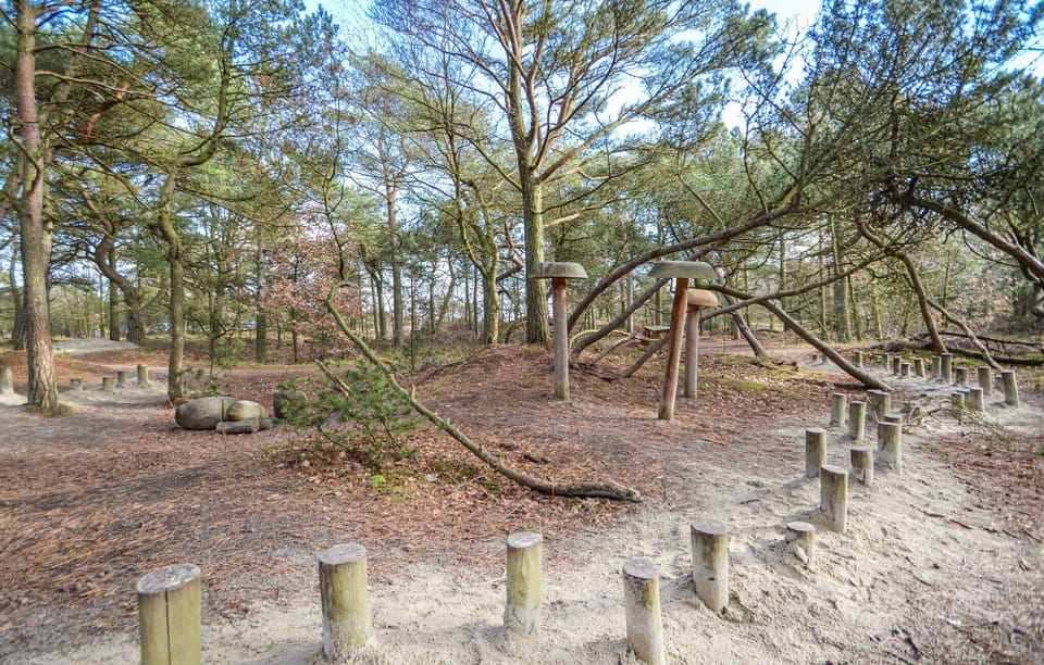 area