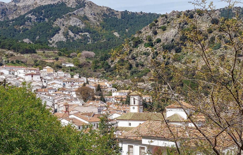 area