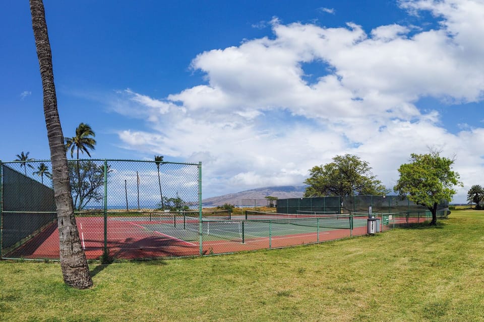 Tennis courts