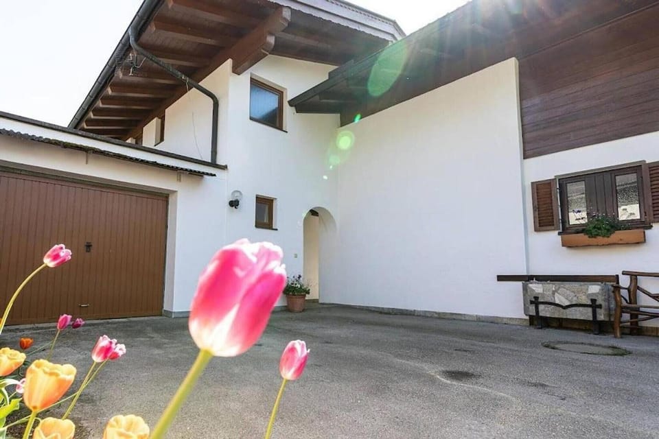 Entrance / Reception