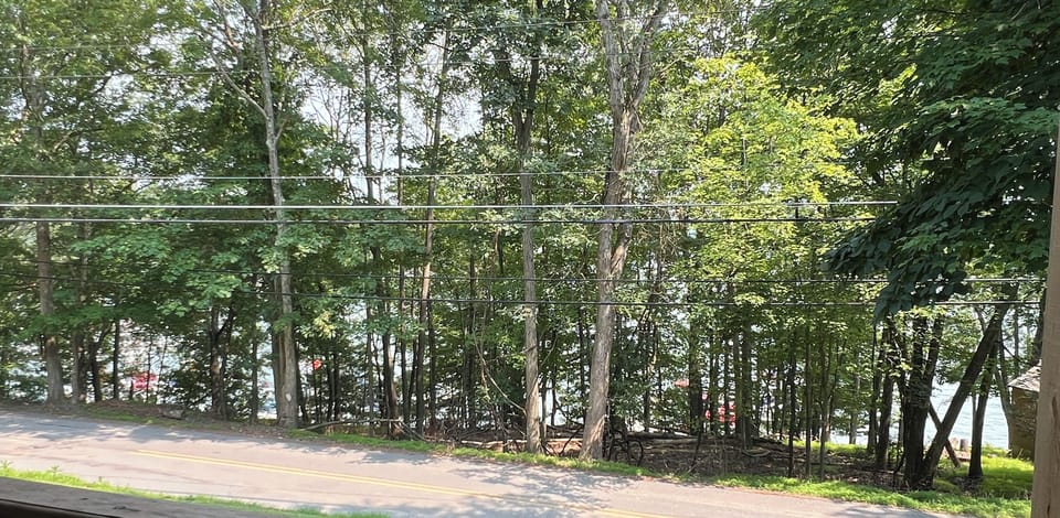 View from property