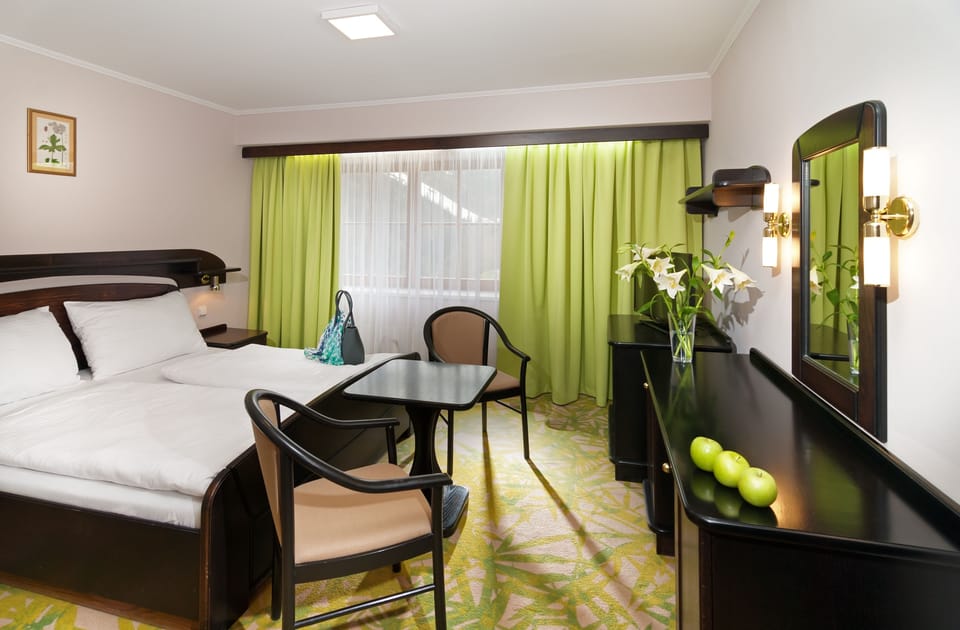 Standard Double Room, 1 Bedroom | Minibar, in-room safe, free WiFi