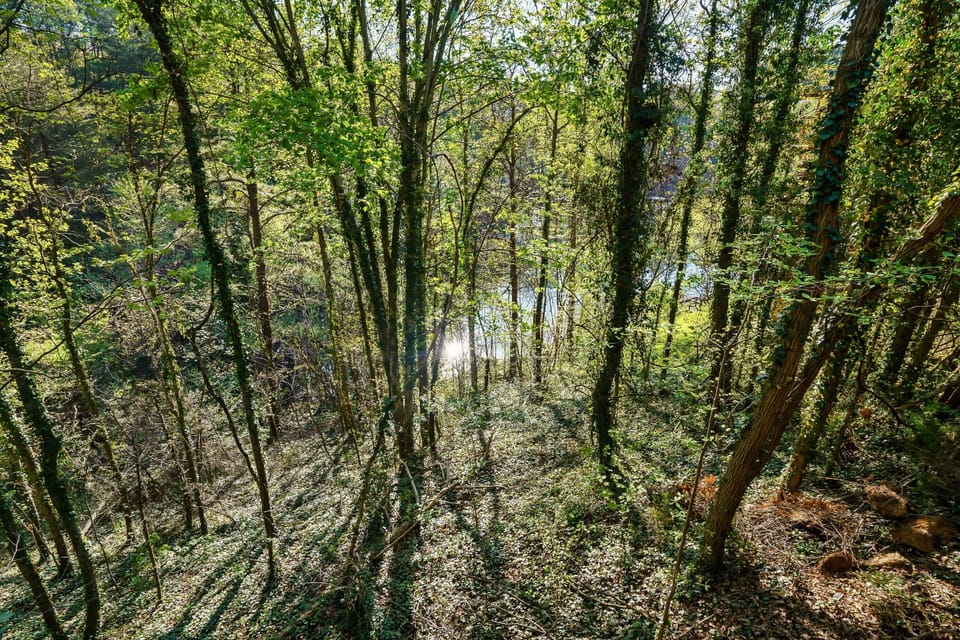 Peek-a-boo view of Lake