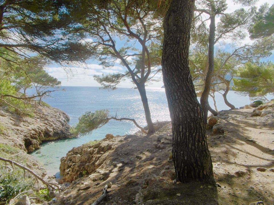 Ecotours
