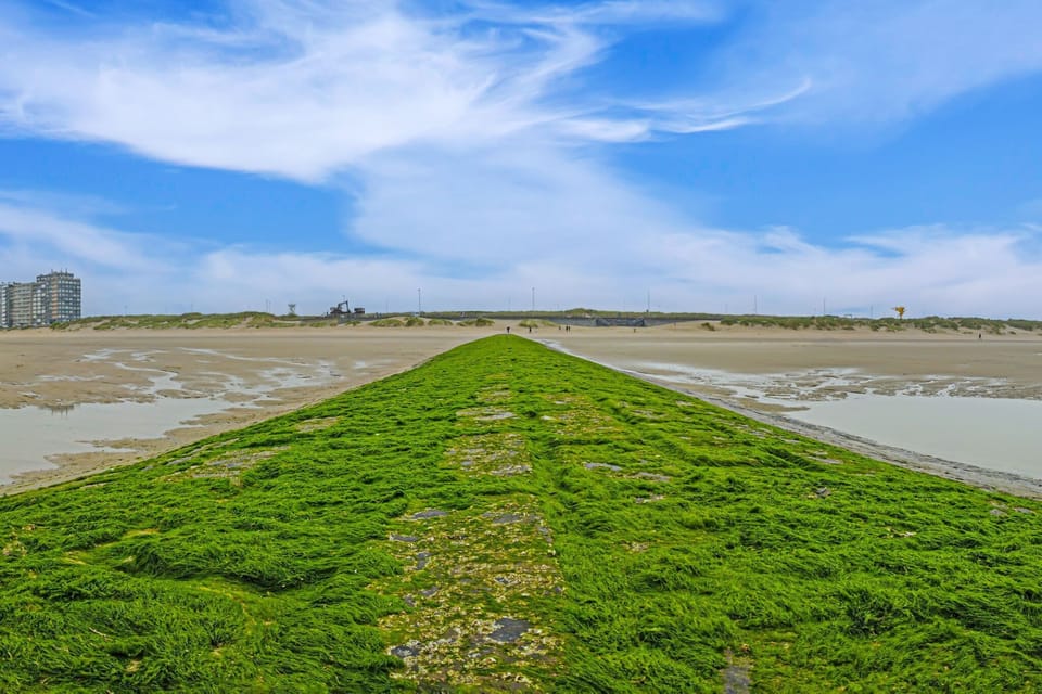 Surroundings [summer] (1-5 km)
