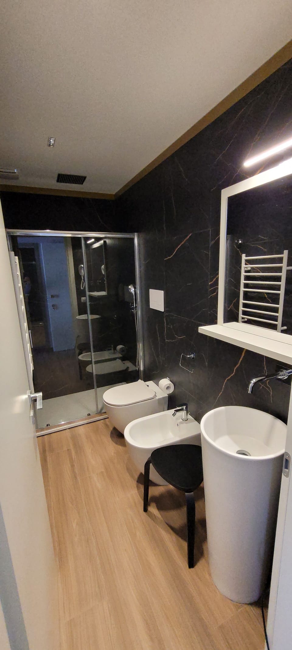 Shower, hair dryer, bathrobes, bidet