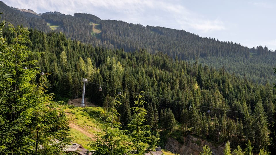 Whistler Ski Slope To Creekside Gondola