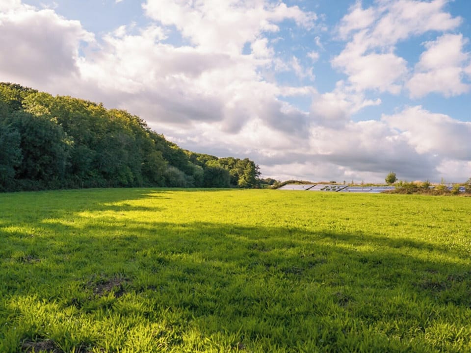Surrounding area | Fir Cottage - Woodside Stables Holiday Cottages, Saltash