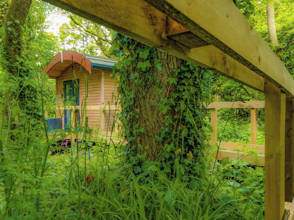 Outdoor area | Woodpecker - Treglisson Pods, Hayle