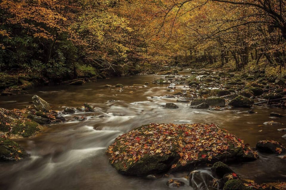 Get back with nature and take nice hike with your loved ones.