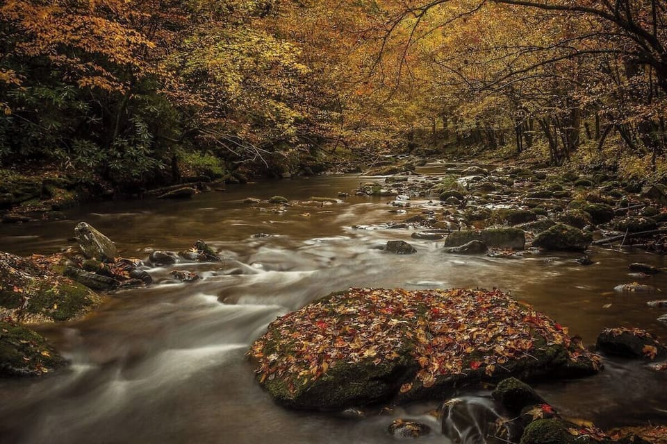 Get back with nature and take nice hike with your loved ones.