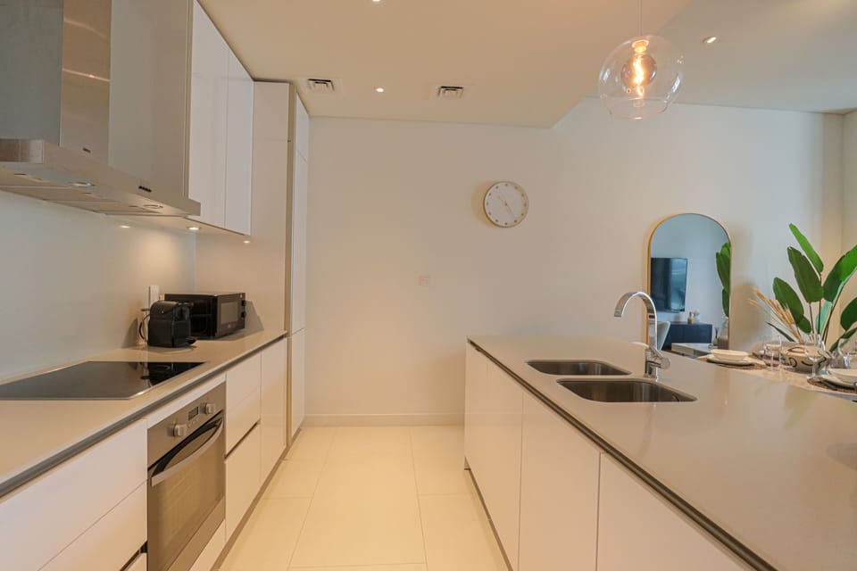 Deluxe Apartment | Private kitchen | Fridge, microwave, oven, stovetop