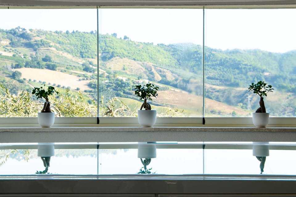 Outdoor treatment areas, Turkish bath, hydrotherapy, aromatherapy