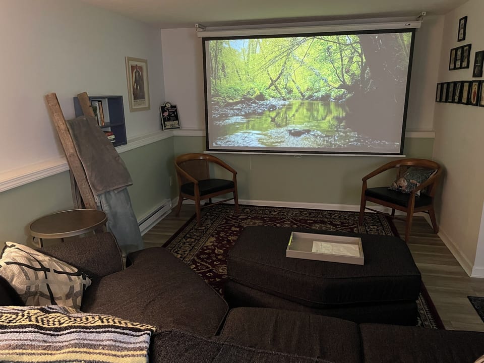 Projector with available streaming