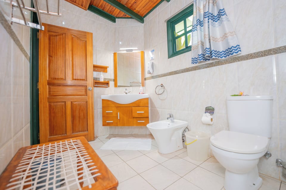 Traditional Double Room | Bathroom | Shower, free toiletries, towels, soap