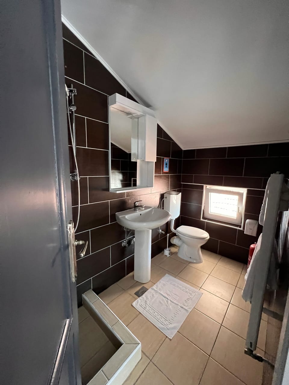 Classic Double or Twin Room | Bathroom | Towels, soap, shampoo, toilet paper