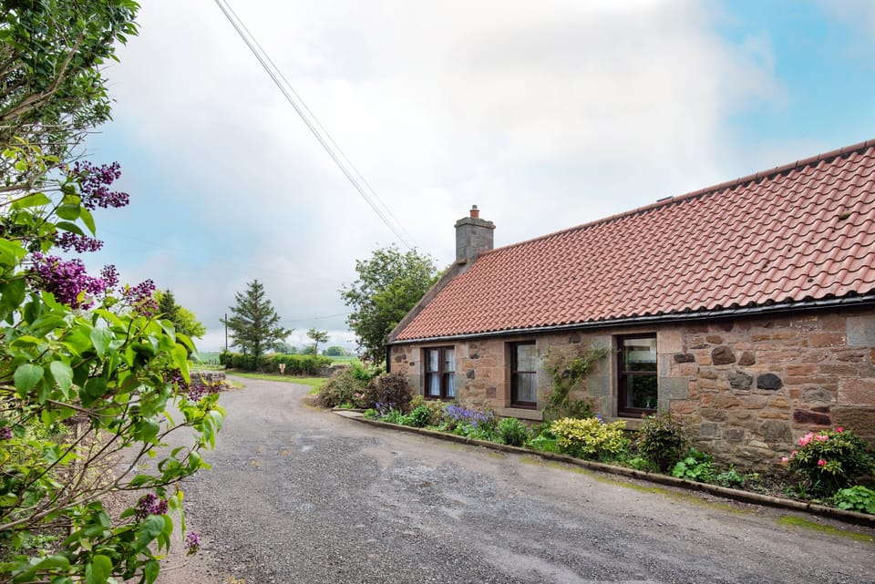 Westwood Cottage - driveway