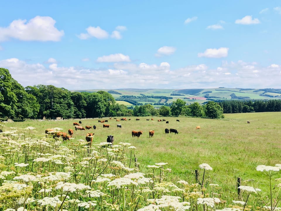 countryside to explore right outside your lodge