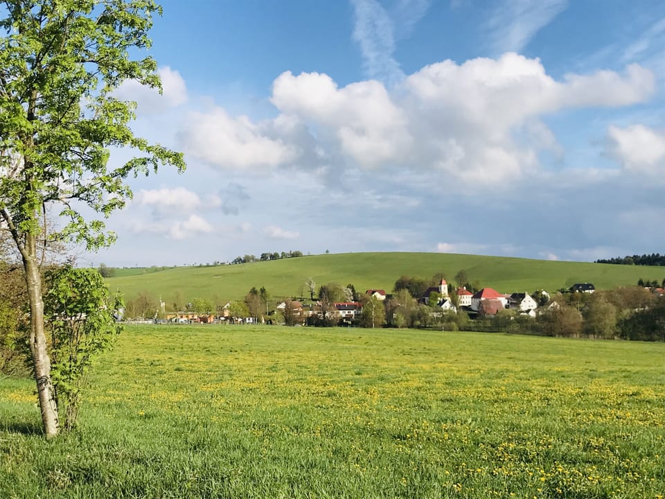 Traditional Cottage | View from room