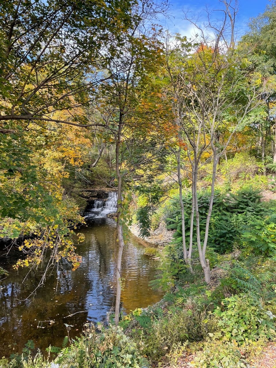 Fall at the Overlook is such a beautiful time to visit 