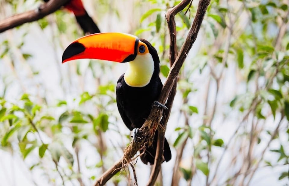 National Aviary is just a 13 minute walk. 