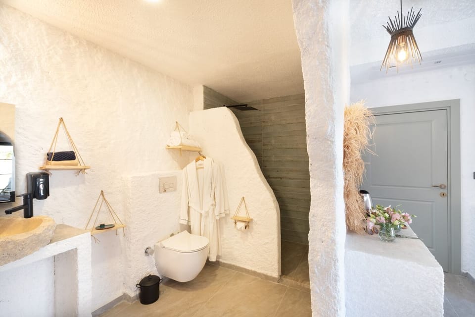 Deluxe Pool Room | Bathroom | Shower, rainfall showerhead, free toiletries, hair dryer