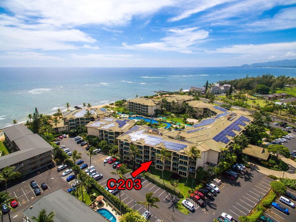 Arial view