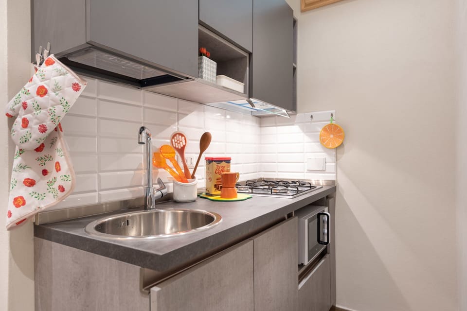 Basic Apartment, 1 Double Bed with Sofa bed | Private kitchen | Fridge, microwave, oven, stovetop