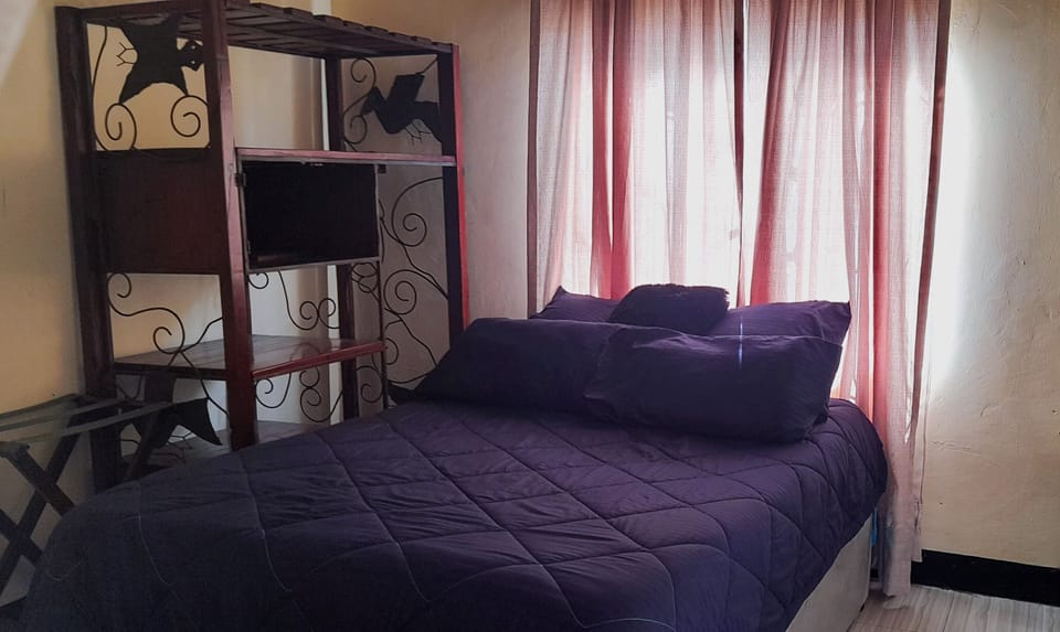 Standard Single Room | Individually decorated, individually furnished, free WiFi