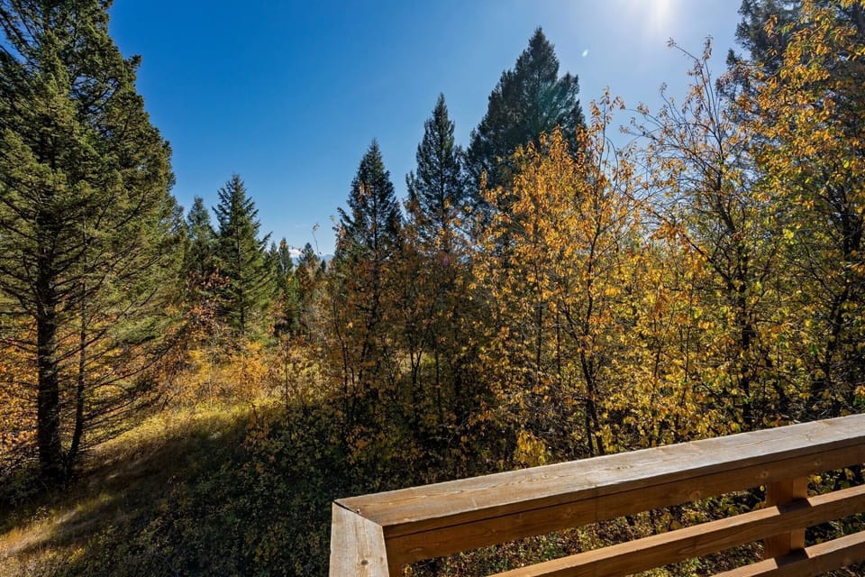 Late summer views from the living area and deck.