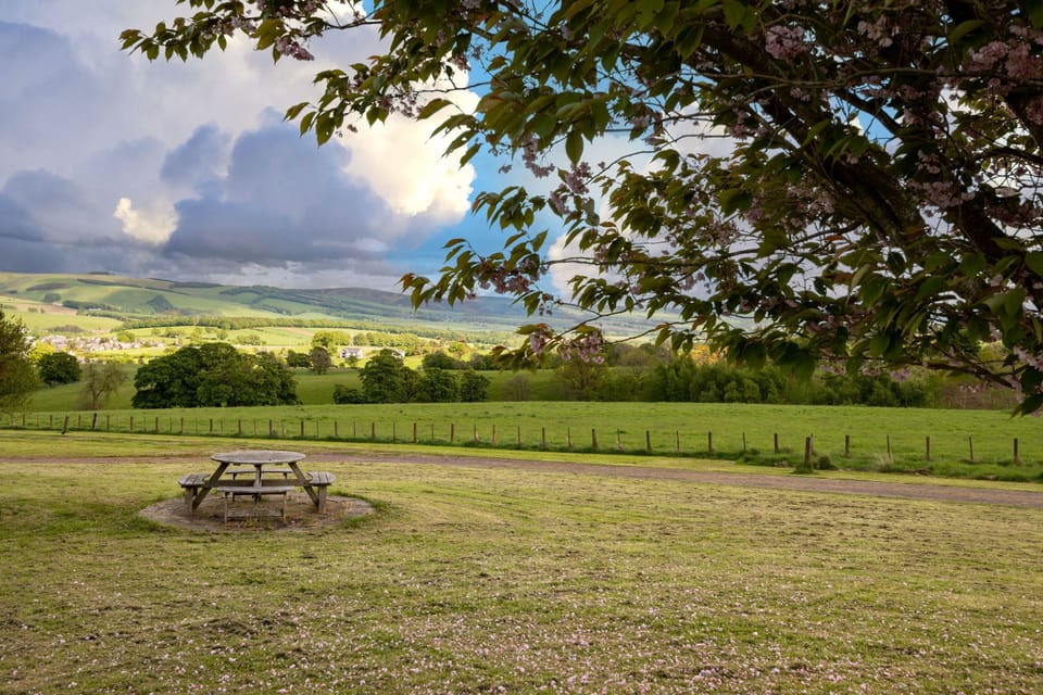 Views from airhouses