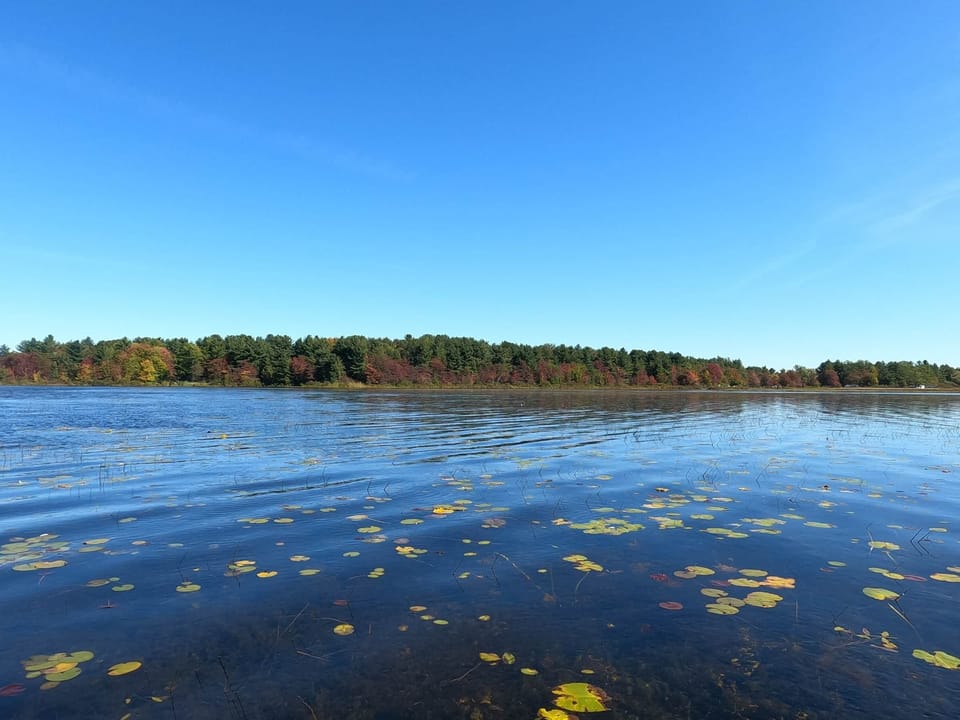 Little Black Lake (Perfectly Serene)