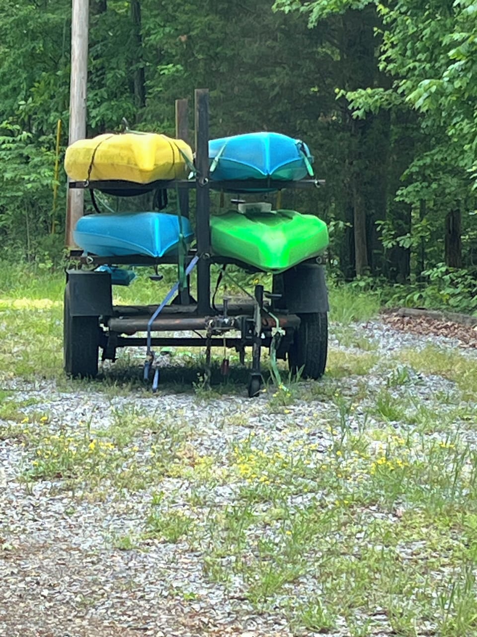 Kayaks available are shared with ponderosa
