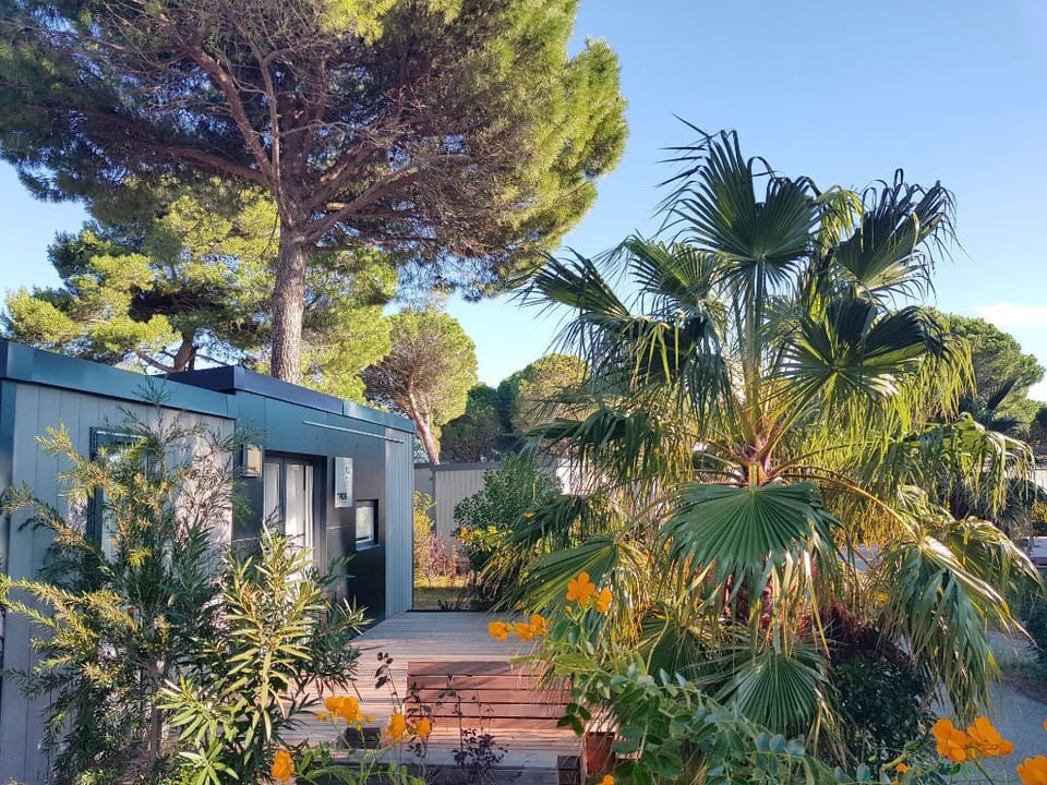 Charming camping home surrounded by lush greenery, offering a peaceful retreat in nature.