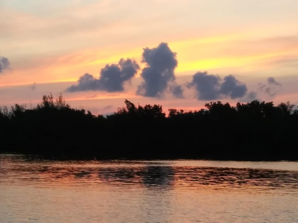 Your Backyard Sunrise View