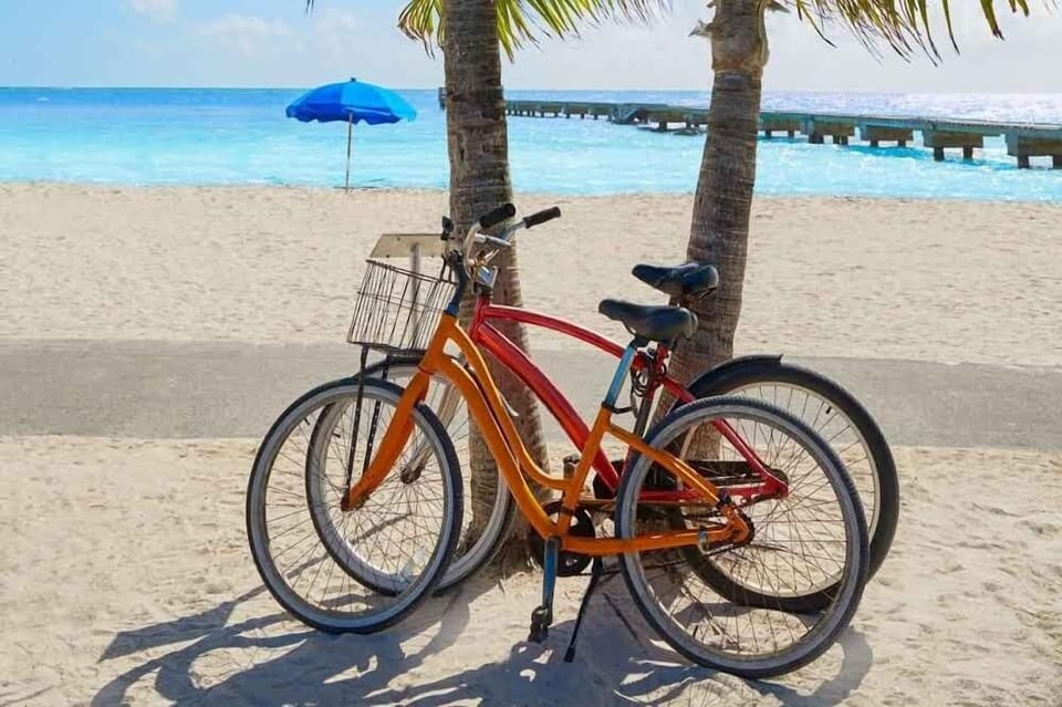 Add Bicycles rental when booking