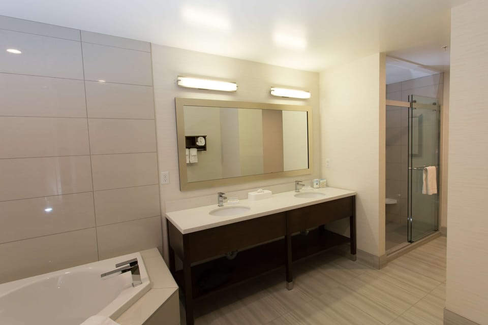 Studio Suite, 1 King Bed (Whirlpool) | Bathroom | Designer toiletries, hair dryer, towels, soap