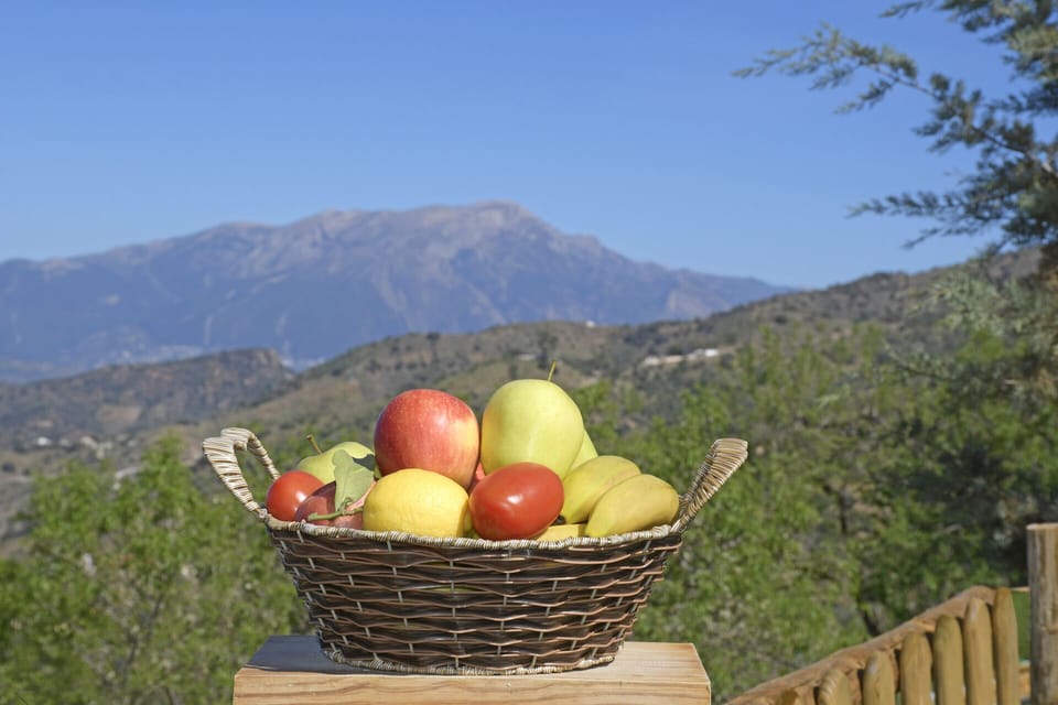 Enjoy life and natural beauty.