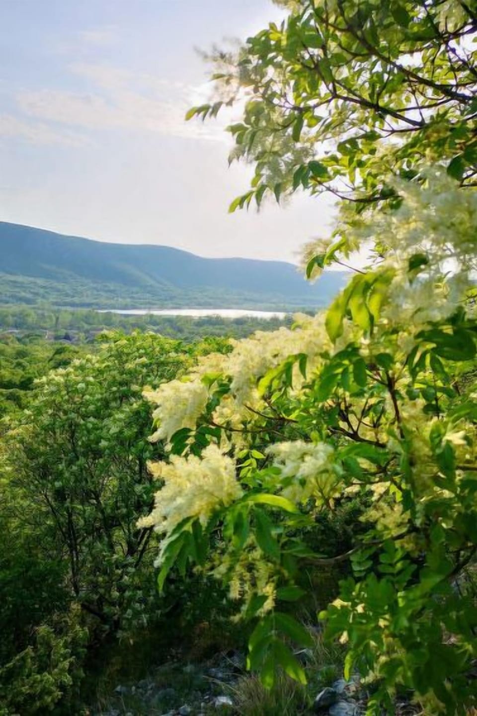 View