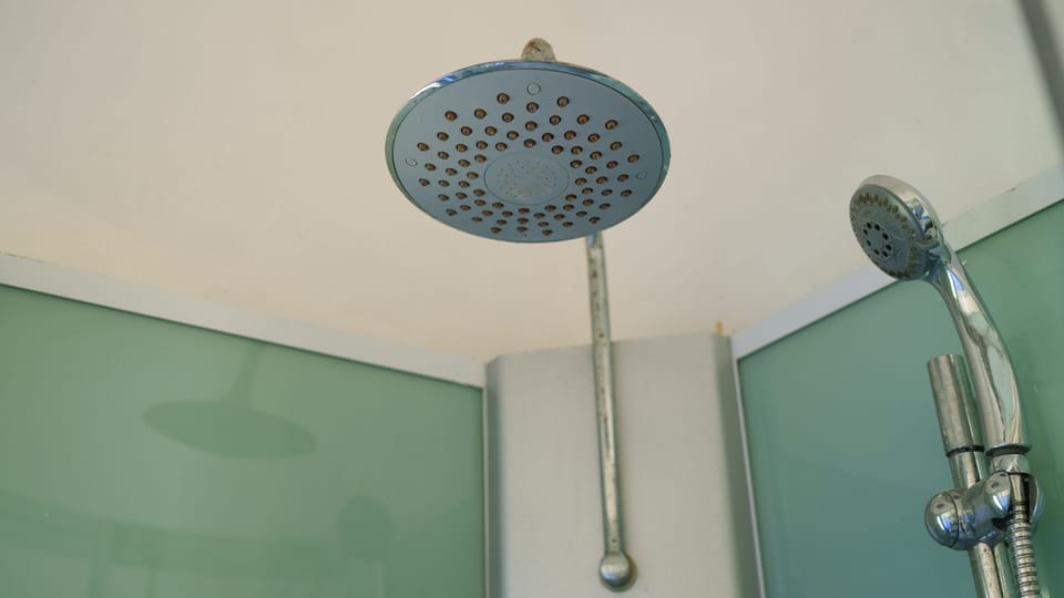 Hand-held showerhead