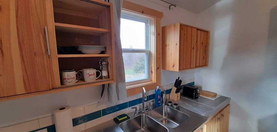 Kitchen sink & cupboards 