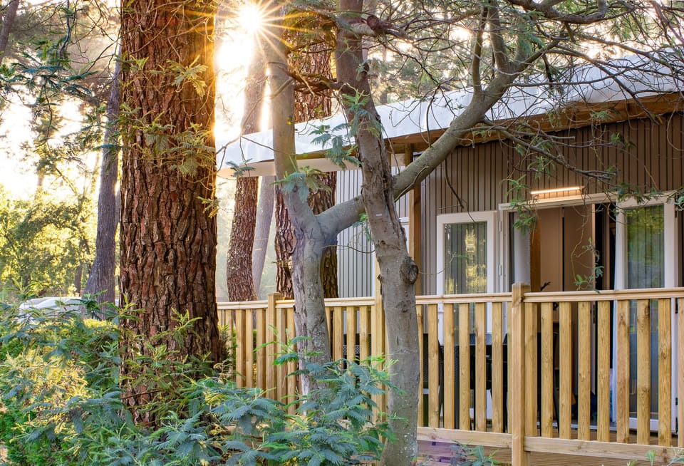Charming camping home nestled among the trees, offering a tranquil retreat close to nature.