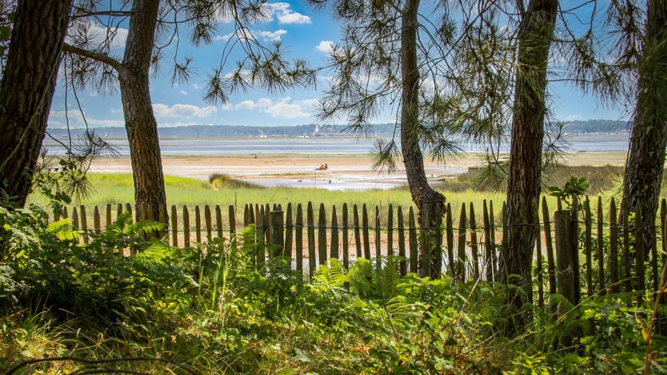 Scenic view overlooking the water, offering a tranquil and natural escape.