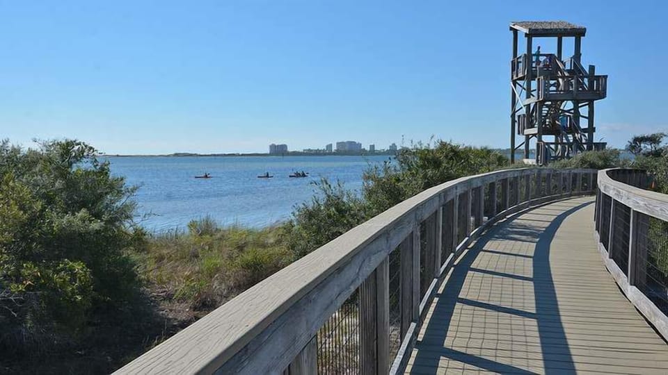 Grande Lagoon State Park Watch Tower – Just minutes from the property. Climb to the top for incredible views of the lagoon, surrounding nature, and even the Gulf on a clear day.