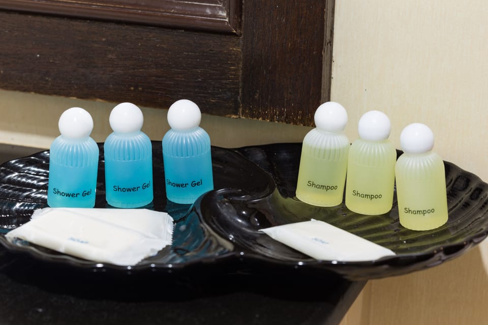 Shower, free toiletries, hair dryer, towels