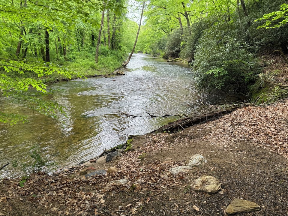 The Mitchell river in our back yard